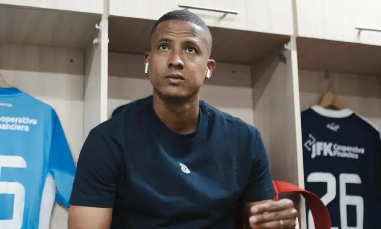 fainer-torijano-del-dim