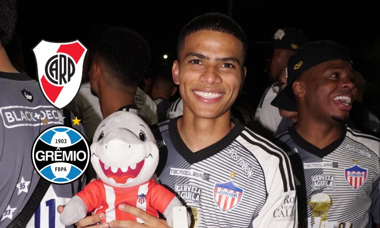 josé enamorado - junior - 2026