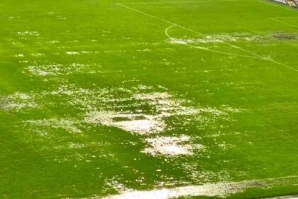 Santa Fe niega aviso de Conmebol sobre la grama de El Campín