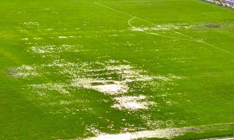 Santa Fe niega aviso de Conmebol sobre la grama de El Campín